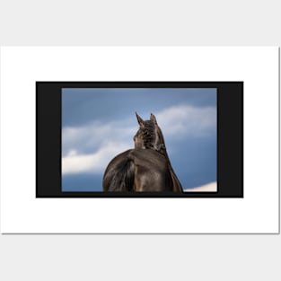 Dreamy horse image Posters and Art